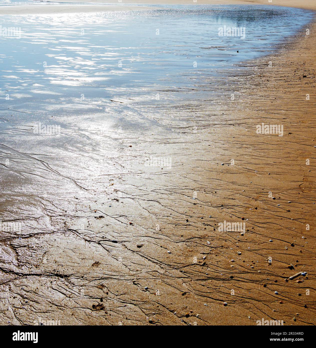 wet sand on the beach Stock Photo Alamy