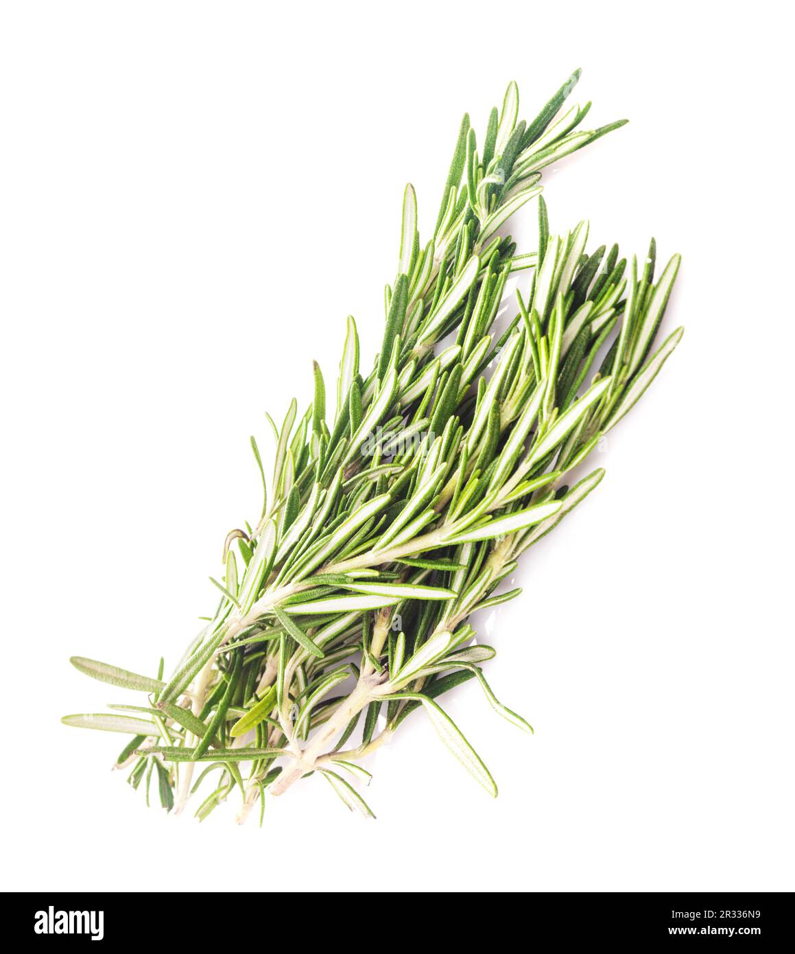 Rosemary leaf isolated Stock Photo Alamy