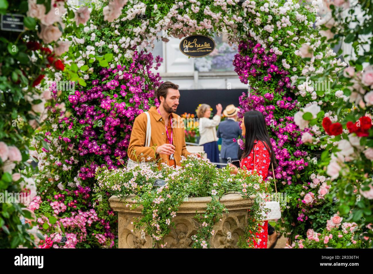 London, UK. 22nd May, 2023. Peter Beale stand - Monday at the 2023 Chelsea Flower Show. Credit: Guy Bell/Alamy Live News Stock Photo