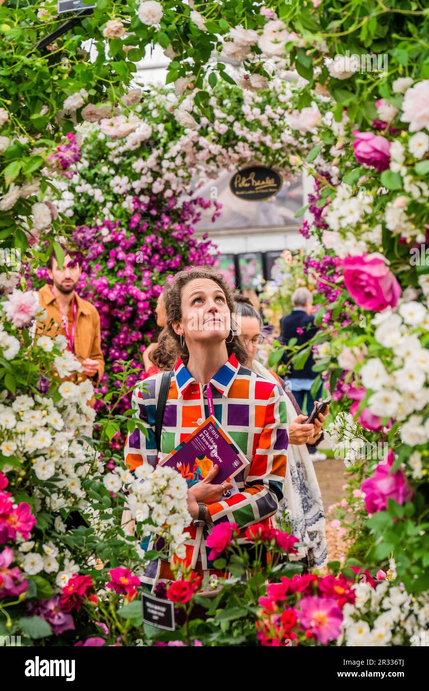 London, UK. 22nd May, 2023. Peter Beale stand - Monday at the 2023 Chelsea Flower Show. Credit: Guy Bell/Alamy Live News Stock Photo