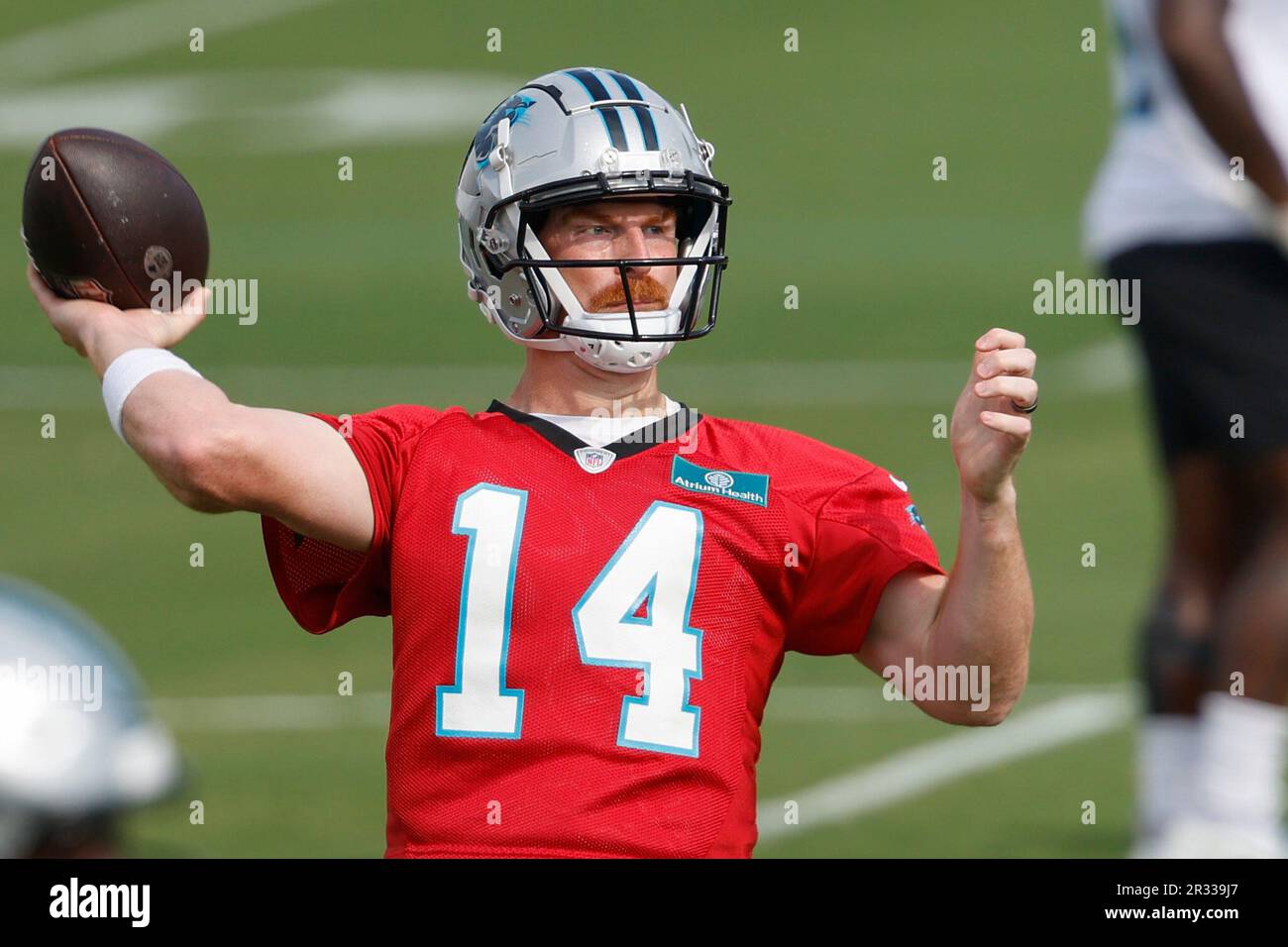 Carolina Panthers quarterback Andy Dalton (14) drops back to pass during an NFL  preseason football game against the Detroit Lions, Friday, Aug. 25, 2023,  in Charlotte, N.C. (AP Photo/Brian Westerholt Stock Photo - Alamy