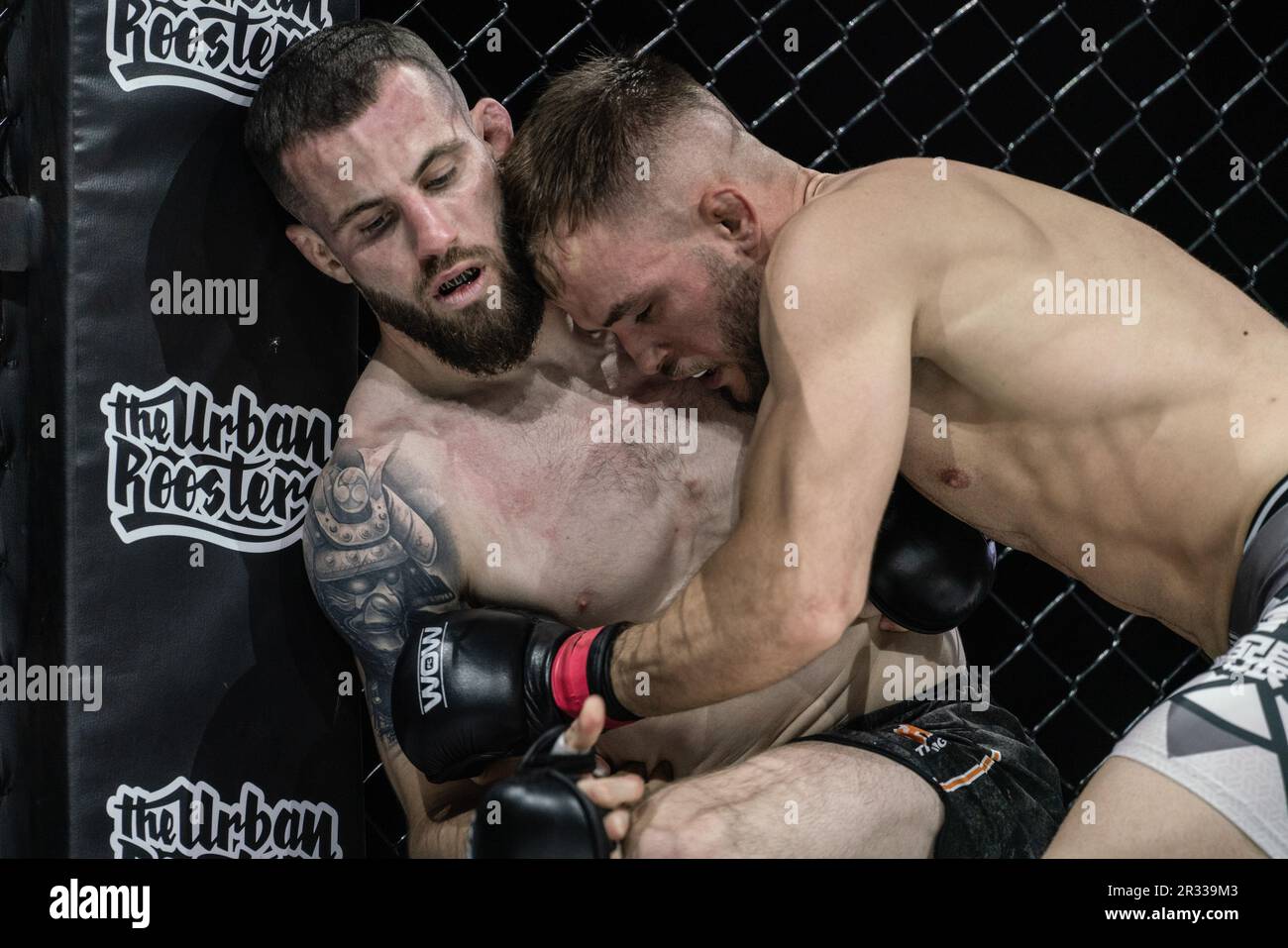 Madrid, Spain. 20th May, 2023. Paddy ®The Problem® and Oriol Arenas fight during the Mixed Martial Arts competition 'WOW 9 : El Camino del Guerrero' at Palacio de Vistalegre Arena. Credit: SOPA Images Limited/Alamy Live News Stock Photo