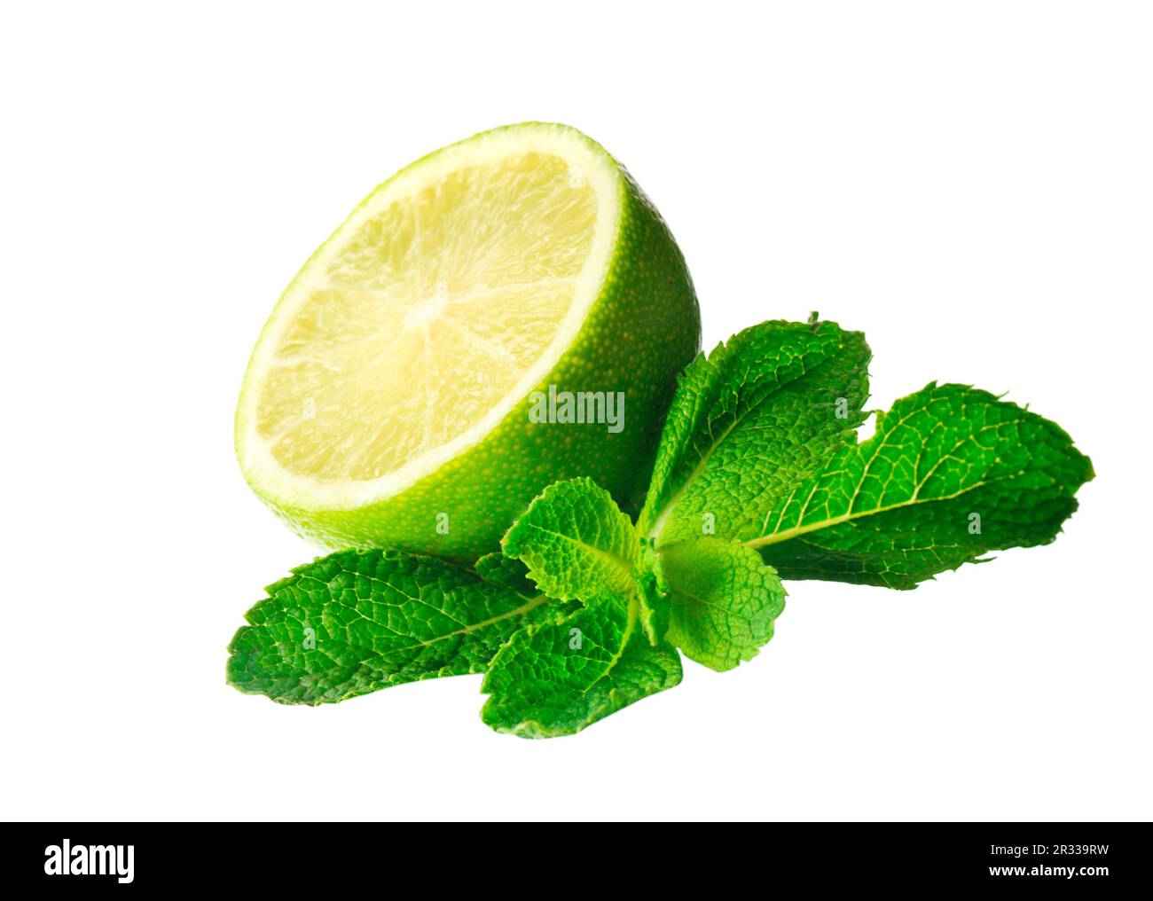 Mint and lime isolated Stock Photo Alamy