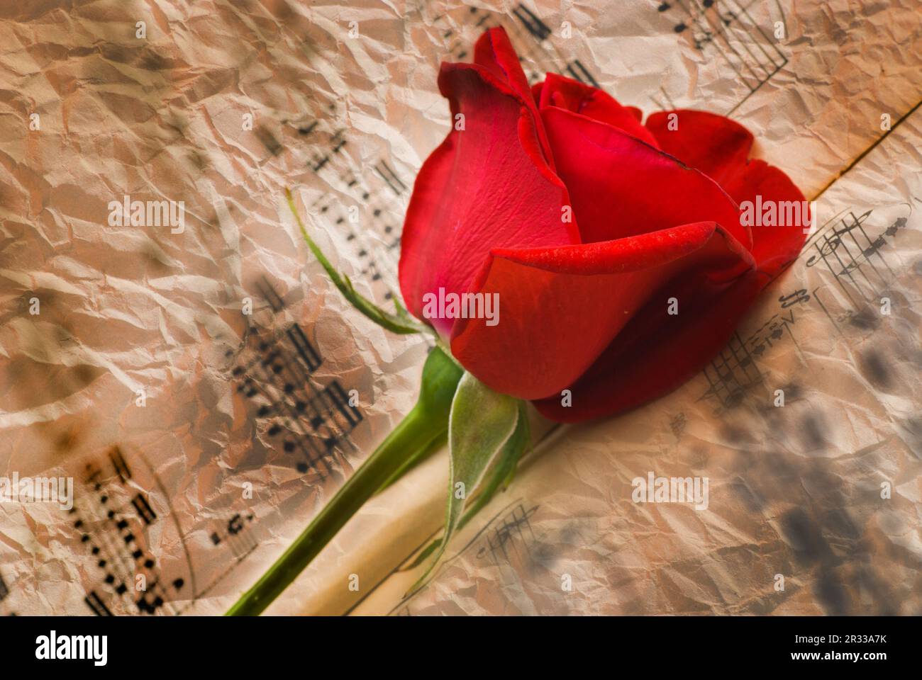 Ceremony notes hi-res stock photography and images - Alamy