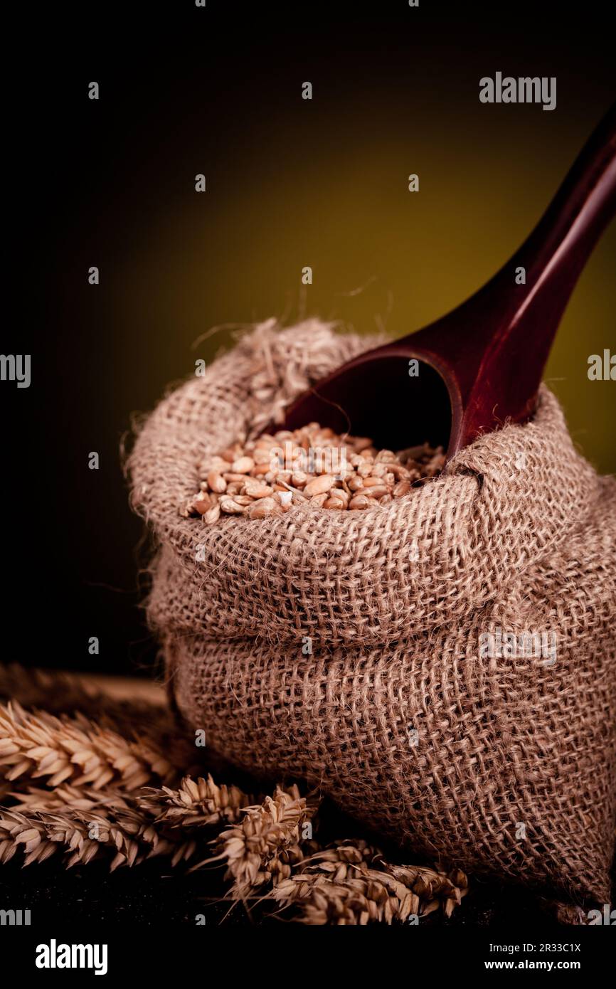 Wheat in burlap sack Stock Photo