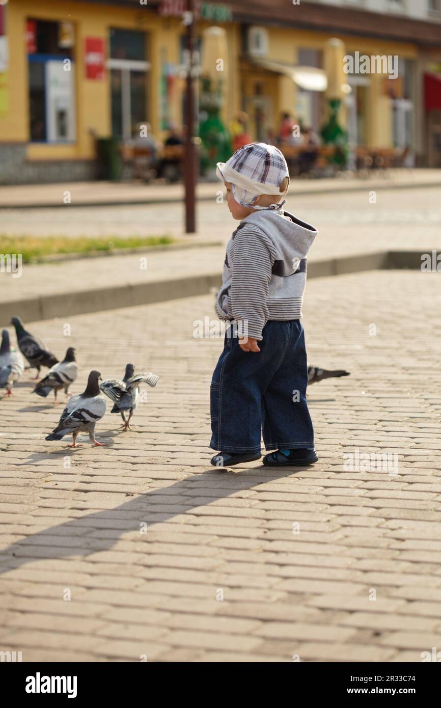 Boy and pigeons Stock Photo
