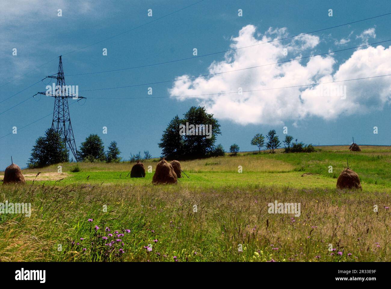 Rural landscape and electrified track Stock Photo