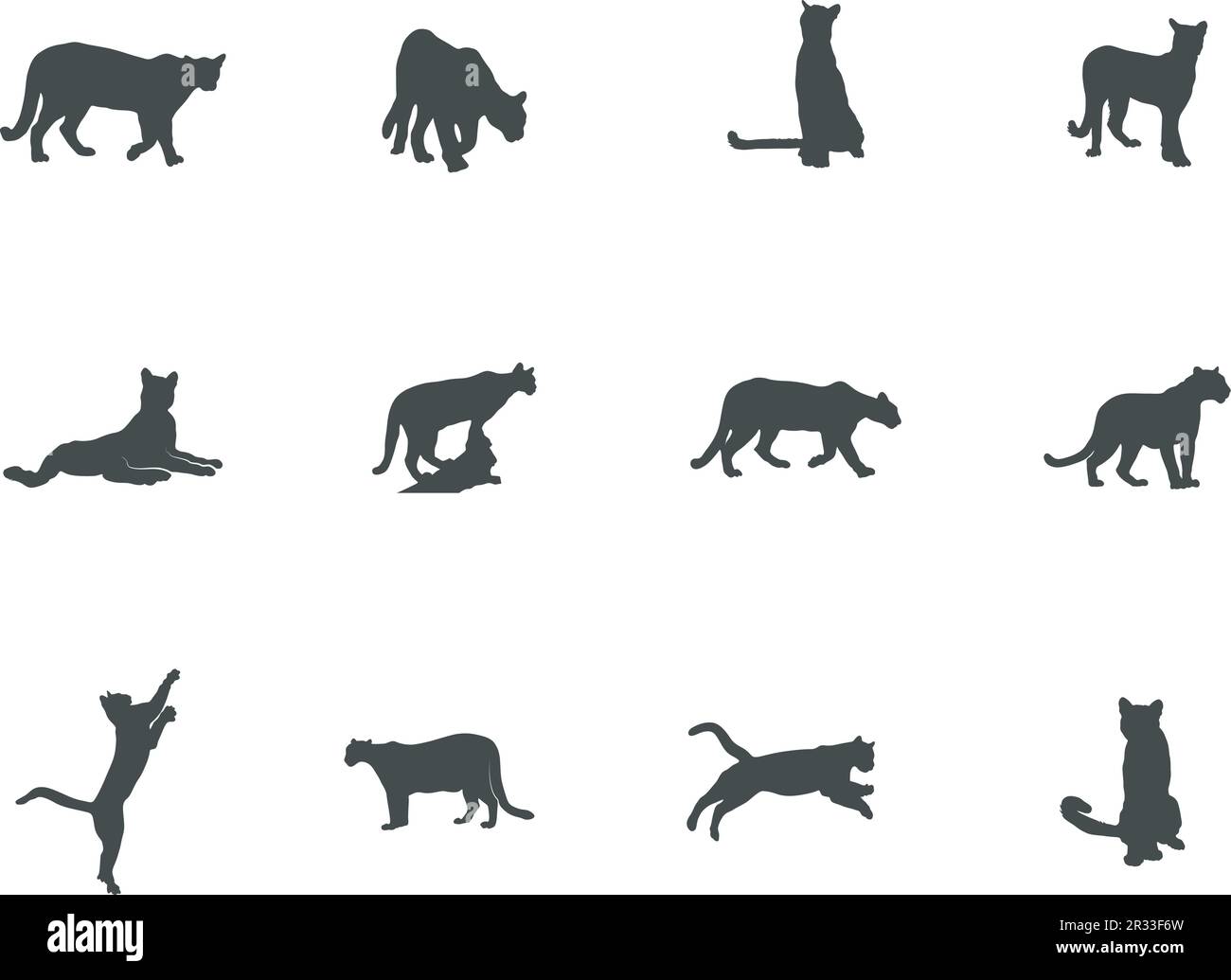 Puma silhouette, Puma vector,  Puma silhouette vector illustration Stock Vector