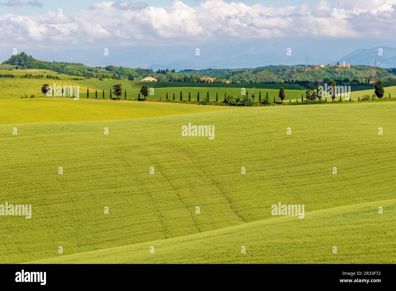 The green Tuscan countryside in spring in Orciano Pisano, Pisa, Italy Stock Photo