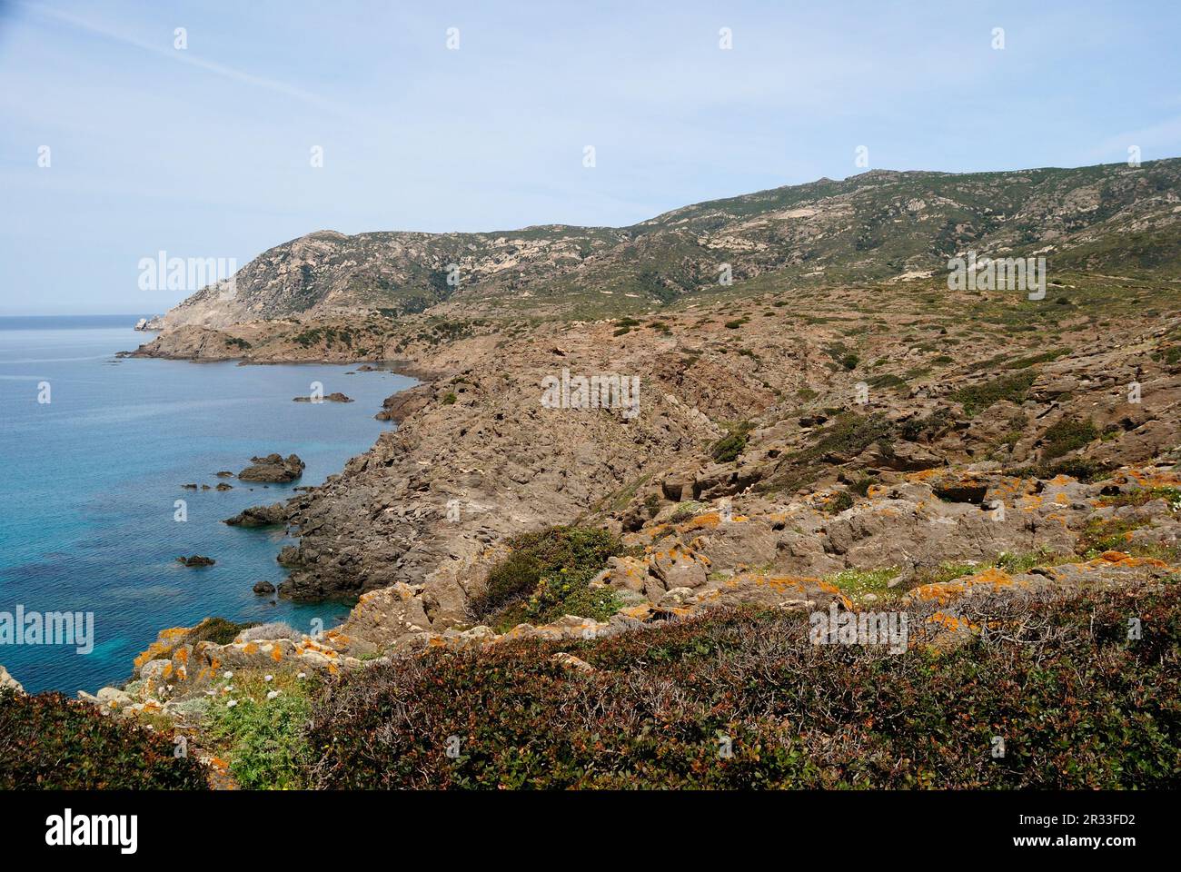 The coast of Cala Peppe in the island of Asinara Stock Photo