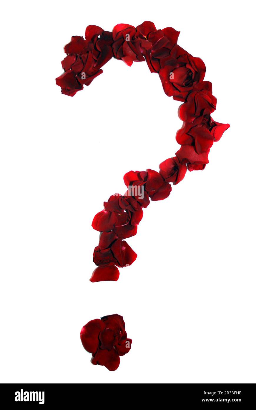 Rose's petals query-shared Stock Photo