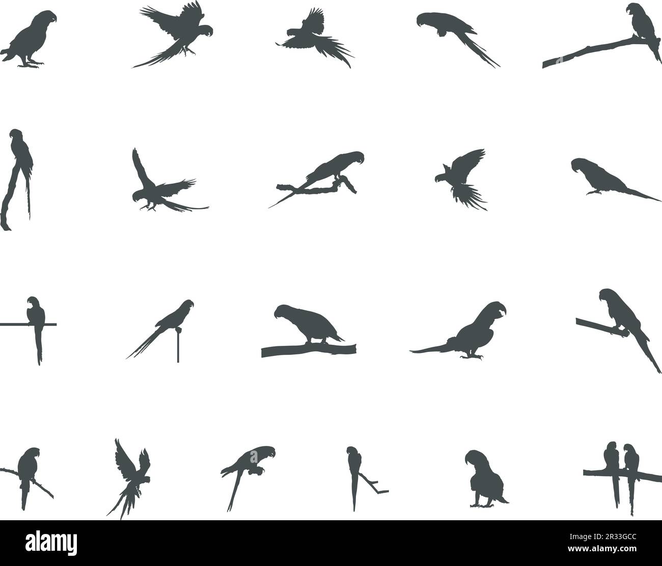 Parrots silhouette, Parrot vector, Birds silhouette,Parrot icon set. Stock Vector