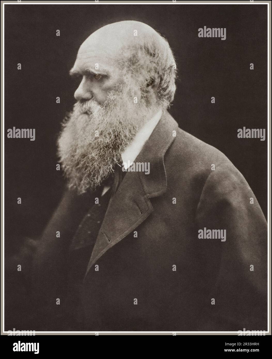 Charles Darwin portrait by the celebrated Victorian photographer artist Julia Margaret Cameron, c. 1868. Stock Photo
