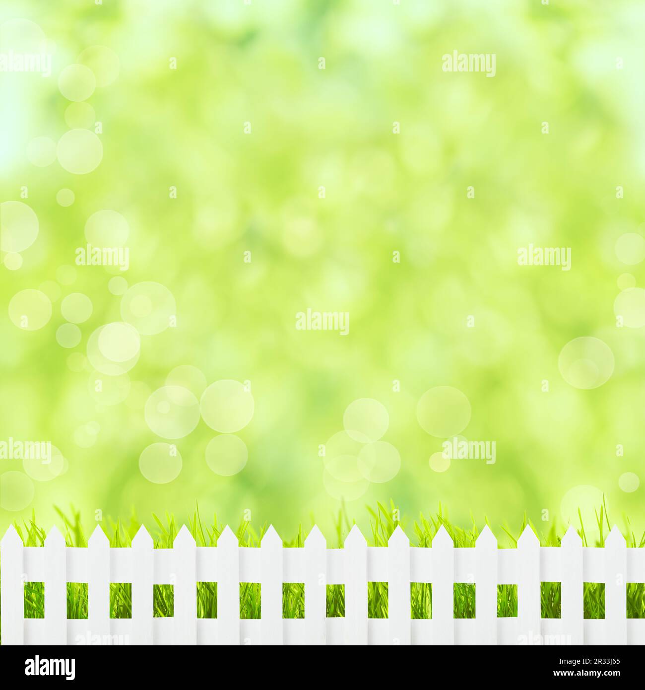Green grass and fence Stock Photo - Alamy