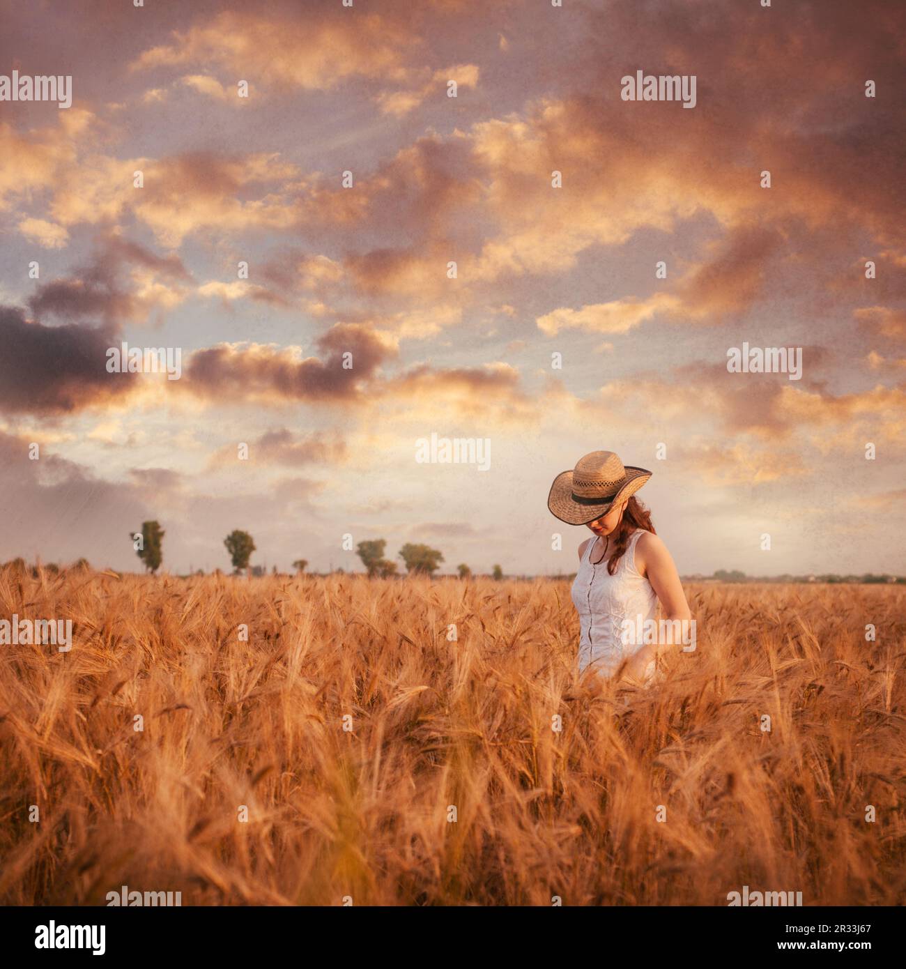 Woman in the wheat field Stock Photo - Alamy