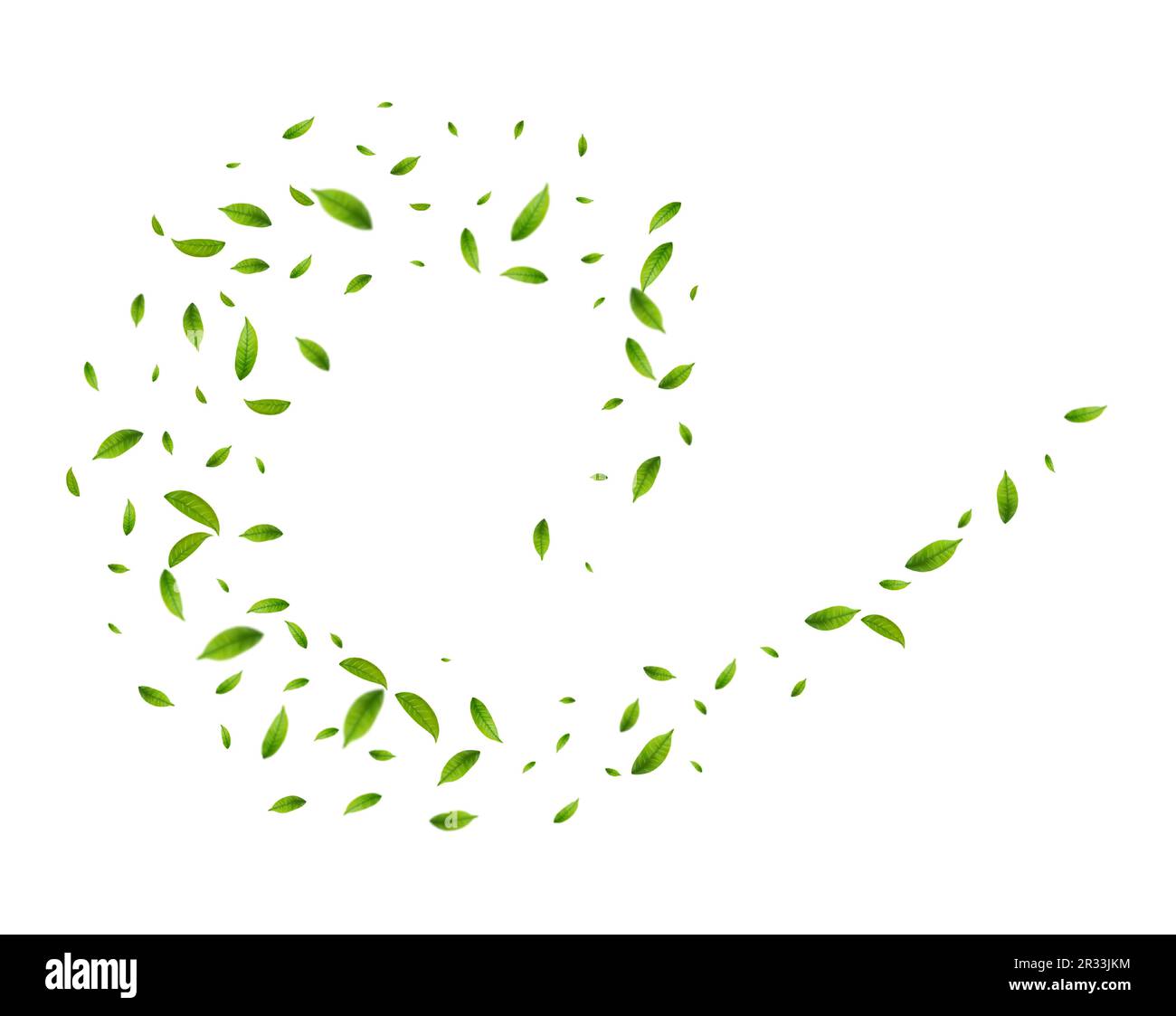 Realistic green tea leaves in motion Stock Vector Image & Art Alamy