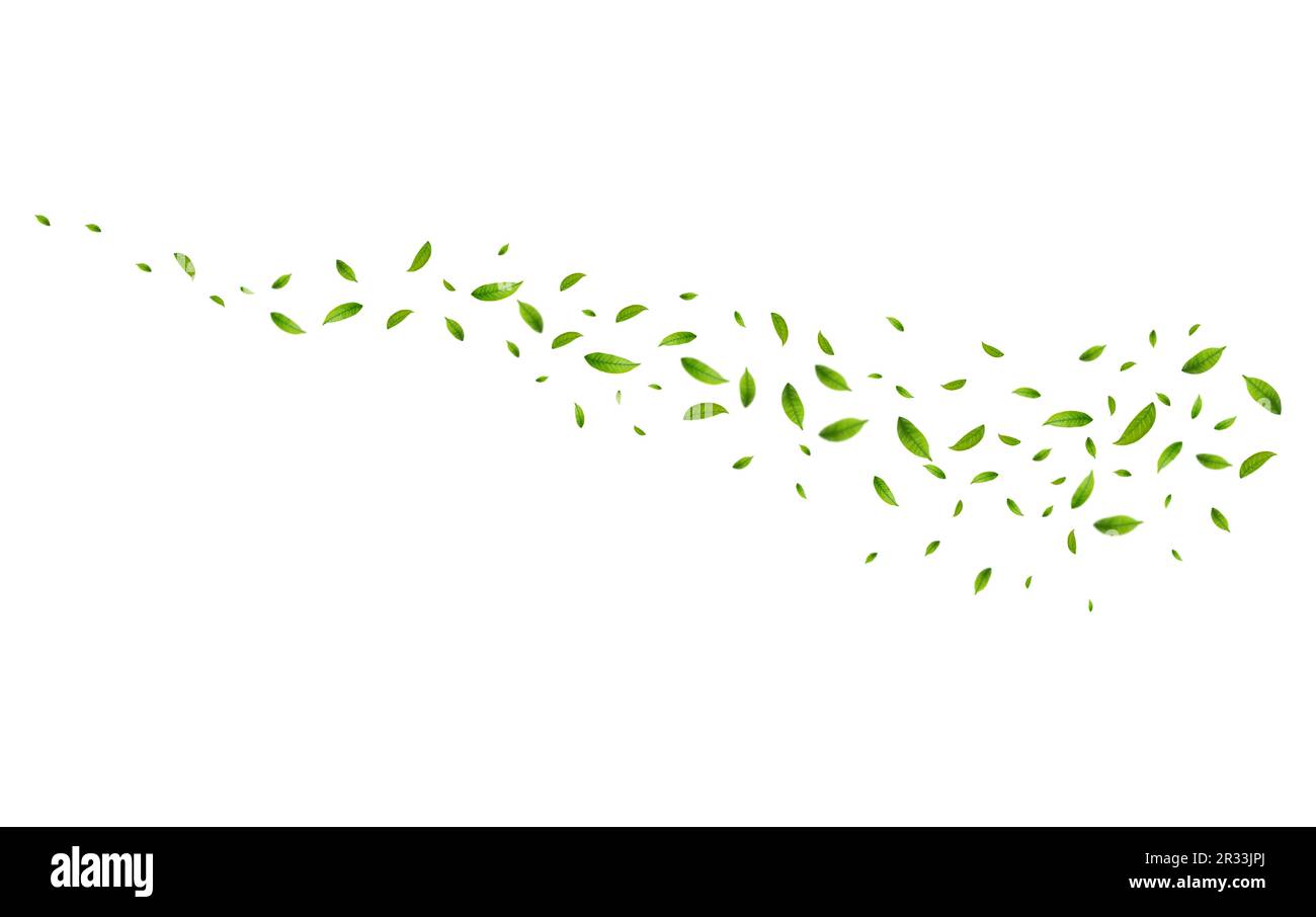 Realistic green tea leaves in motion Stock Vector