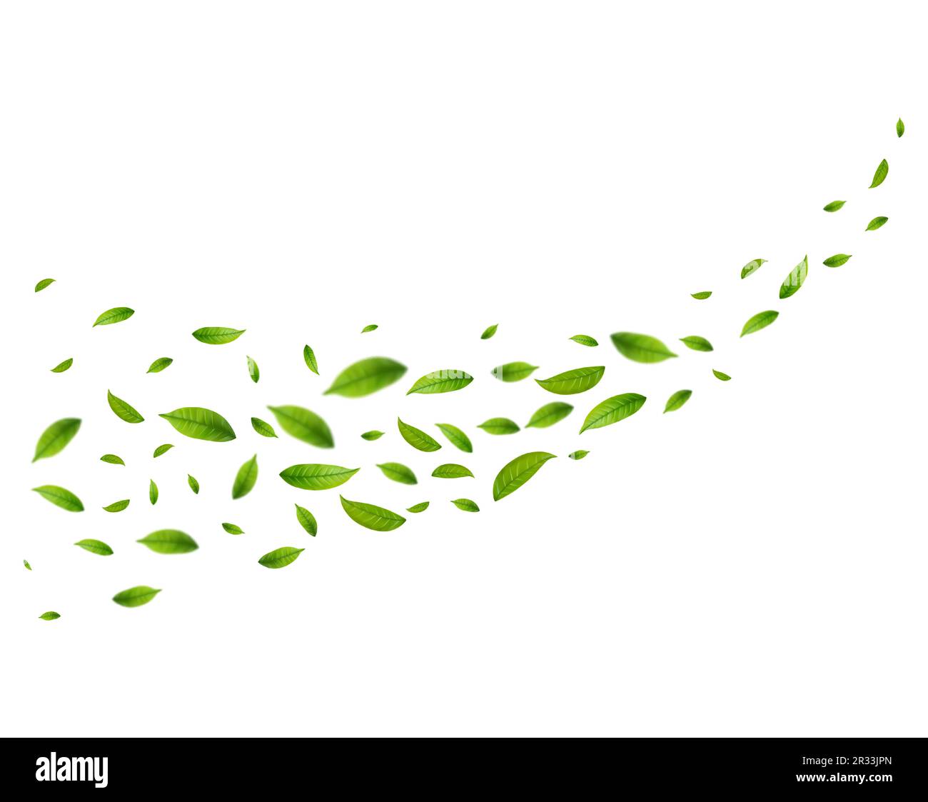 Realistic green tea leaves in motion Stock Vector Image & Art Alamy