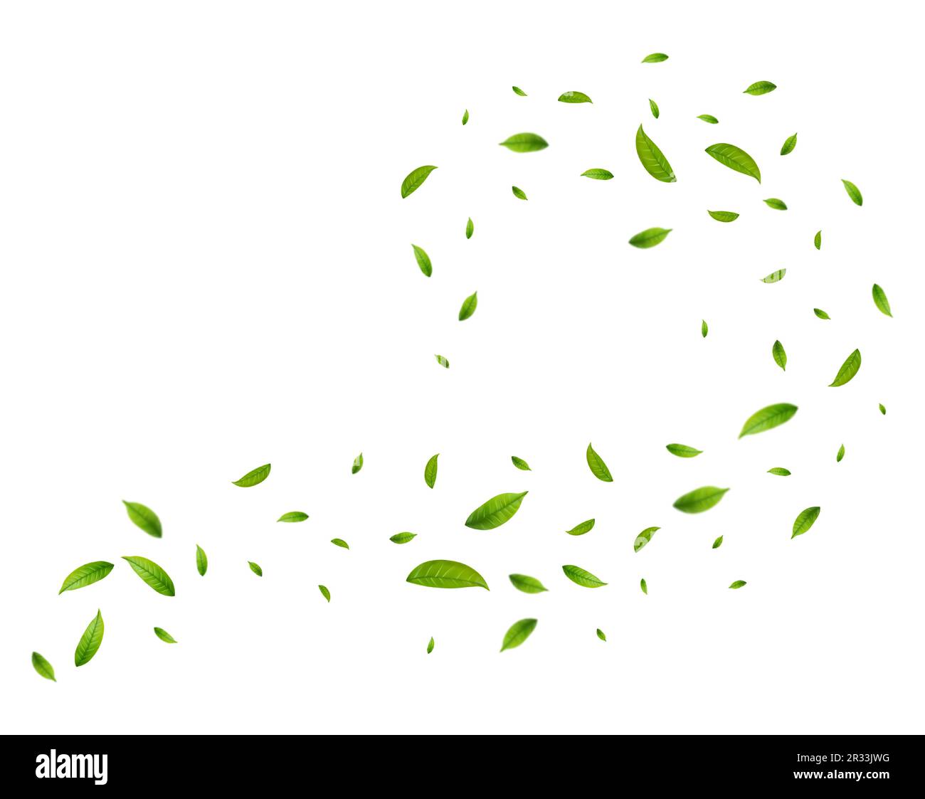Realistic green tea leaves in motion Stock Vector Image & Art Alamy