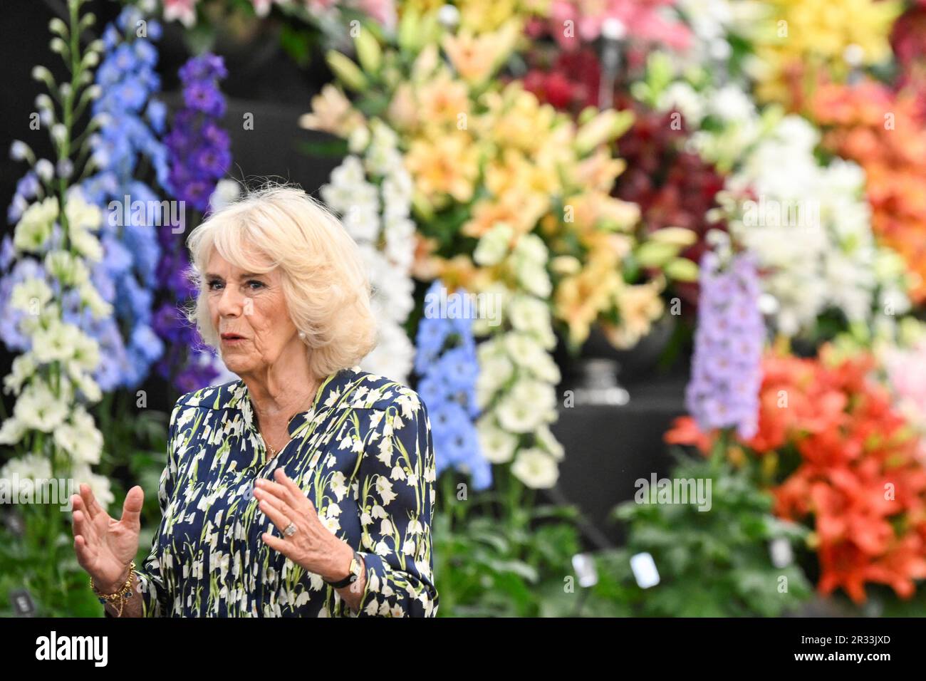 Queen Camilla during a visit to the RHS Chelsea Flower, at the Royal Hospital Chelsea, London. Picture date: Monday May 22, 2023. Stock Photo