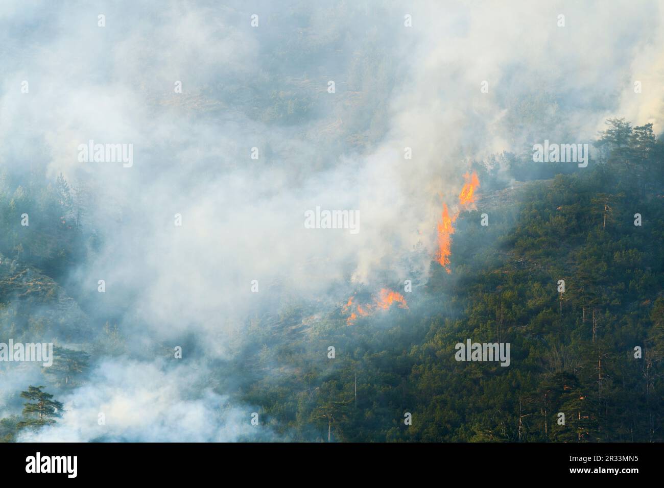 Forest fire at Hochmahdkopf Tyrol Stock Photo