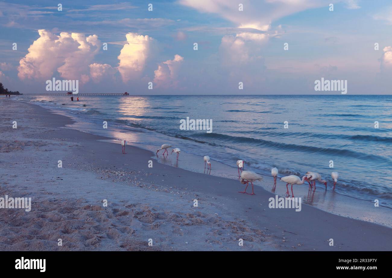 Miami atmosphere hi-res stock photography and images - Alamy