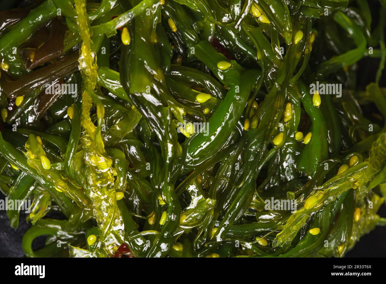 Seaweed salad Stock Photo