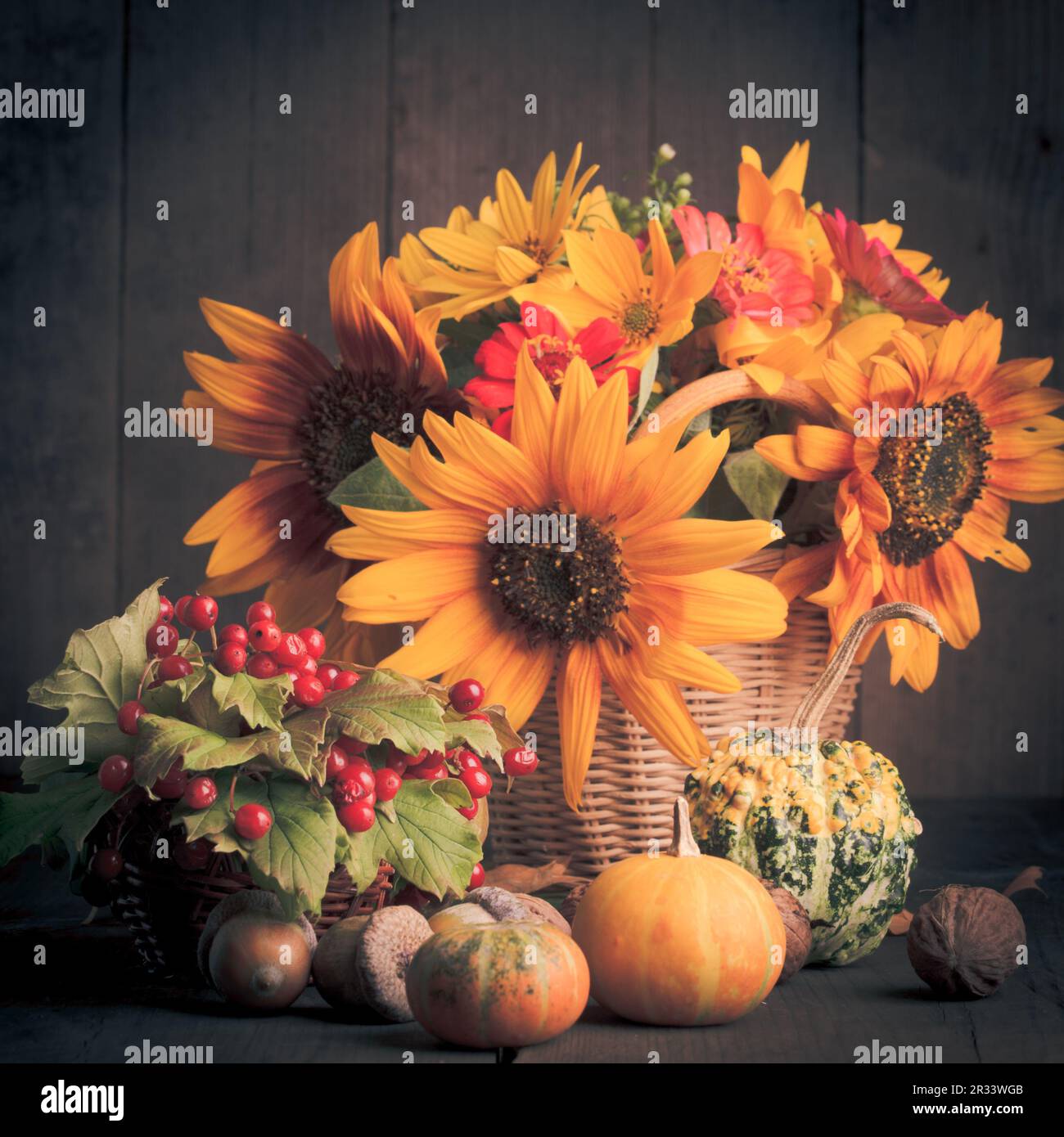 Still life in colours of autumn Stock Photo - Alamy