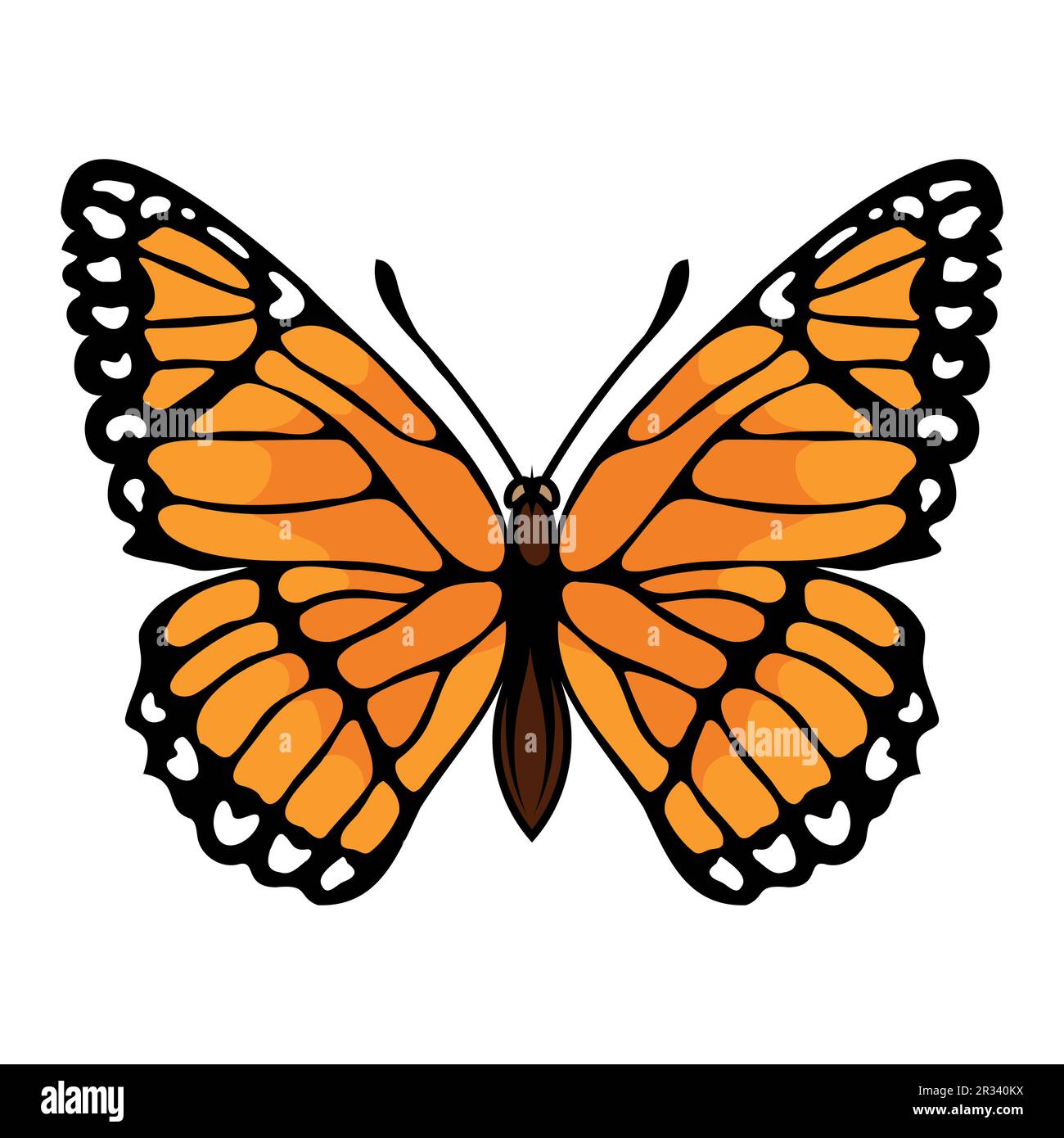 Butterfly. Vector illustration of a nectar-feeding insect. A beautiful wings that are covered with microscopic scales. Stock Vector