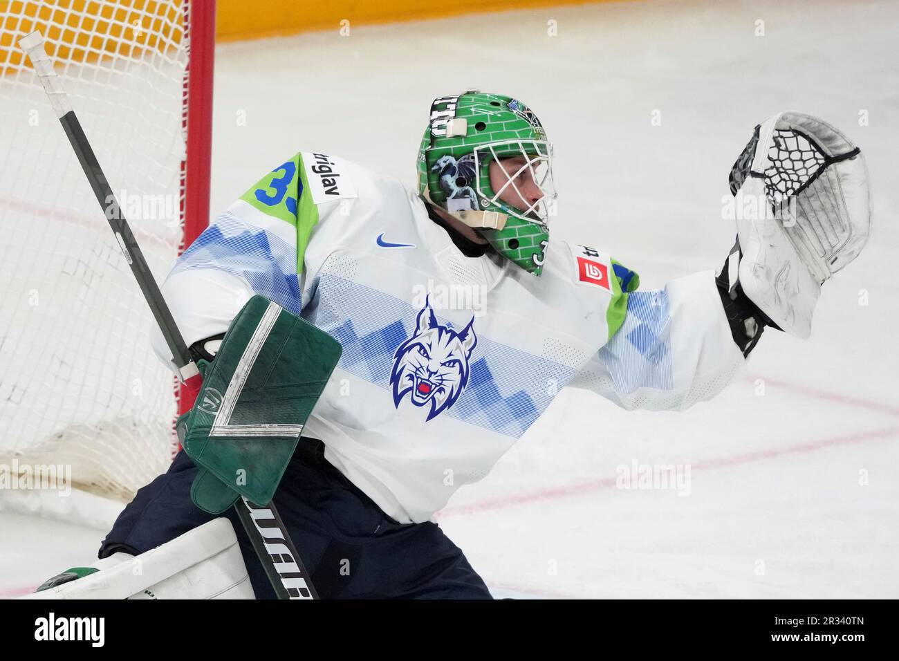Goalie Zan Us of Slovenia in actionduring the group B match between