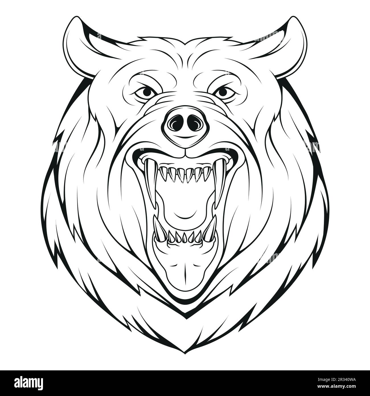 angry bear drawing