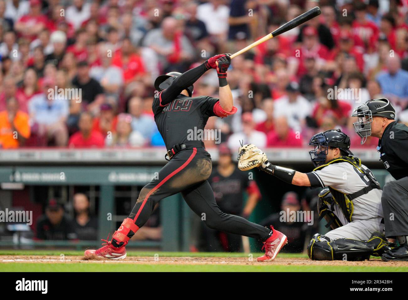 Cincinnati Reds' Spencer Steer bats against the New York Yankees in a