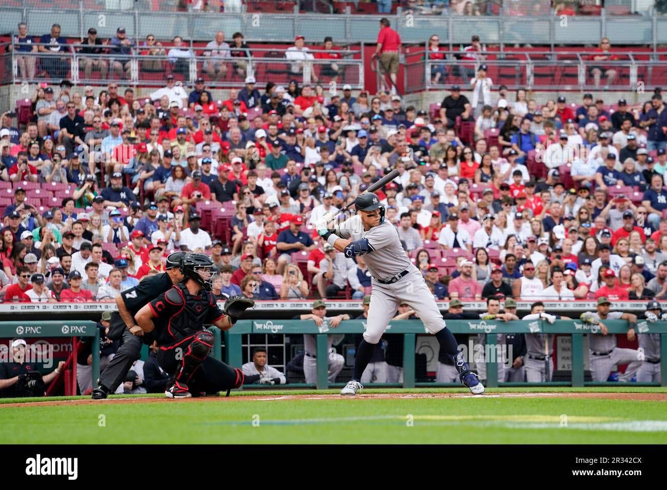 New York Yankees' Aaron Judge bats against the Cincinnati Reds in the