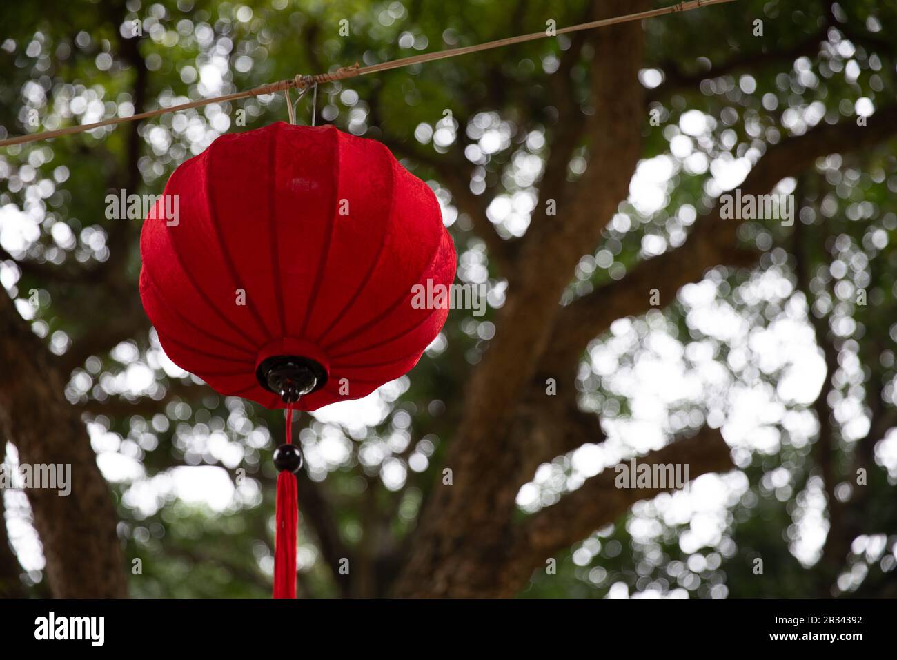 Red lantern hanging in the day at a park Stock Photo - Alamy