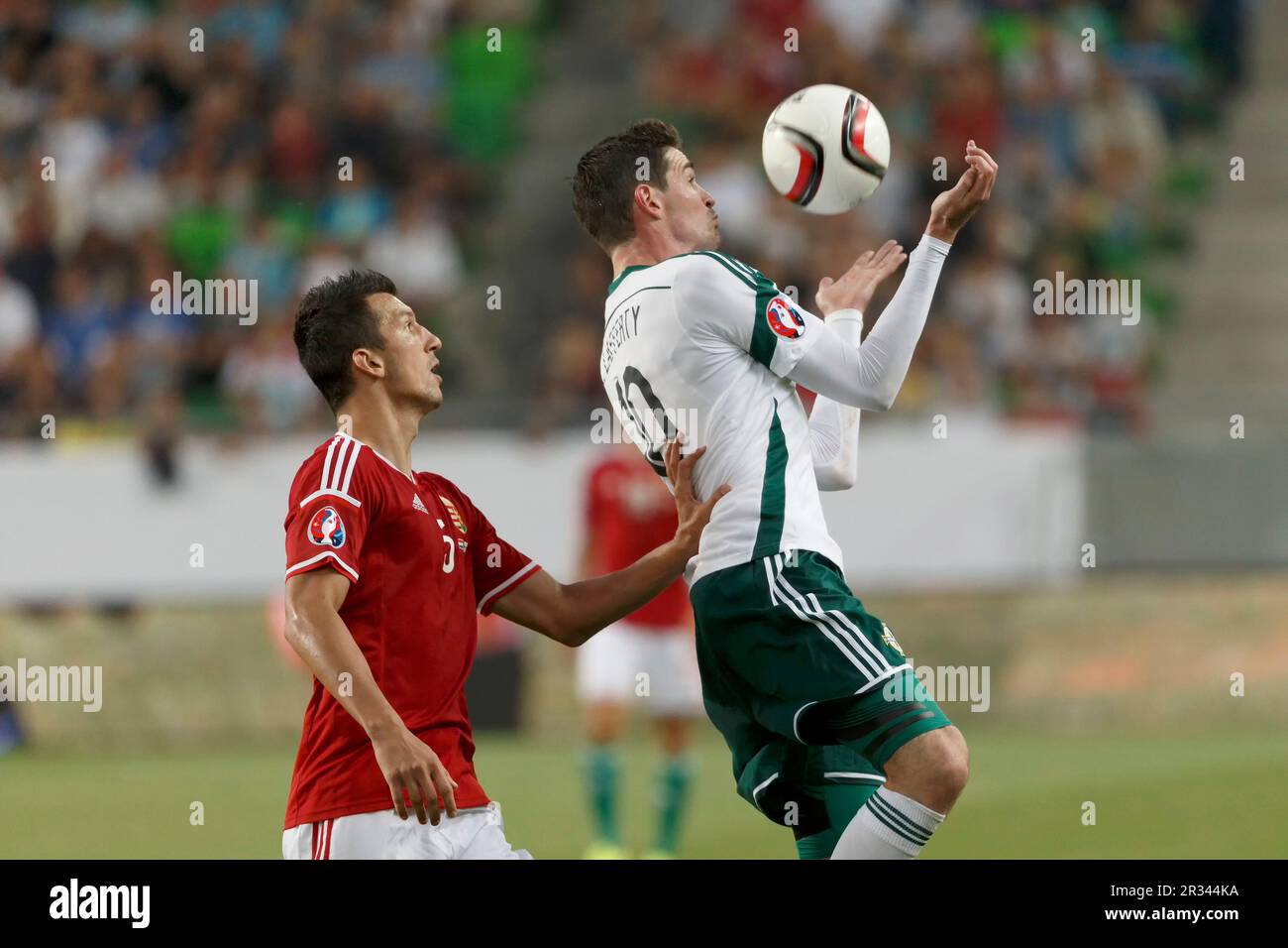 Hungary vs. Northern Ireland UEFA Euro 2016 qualifier football m Stock Photo