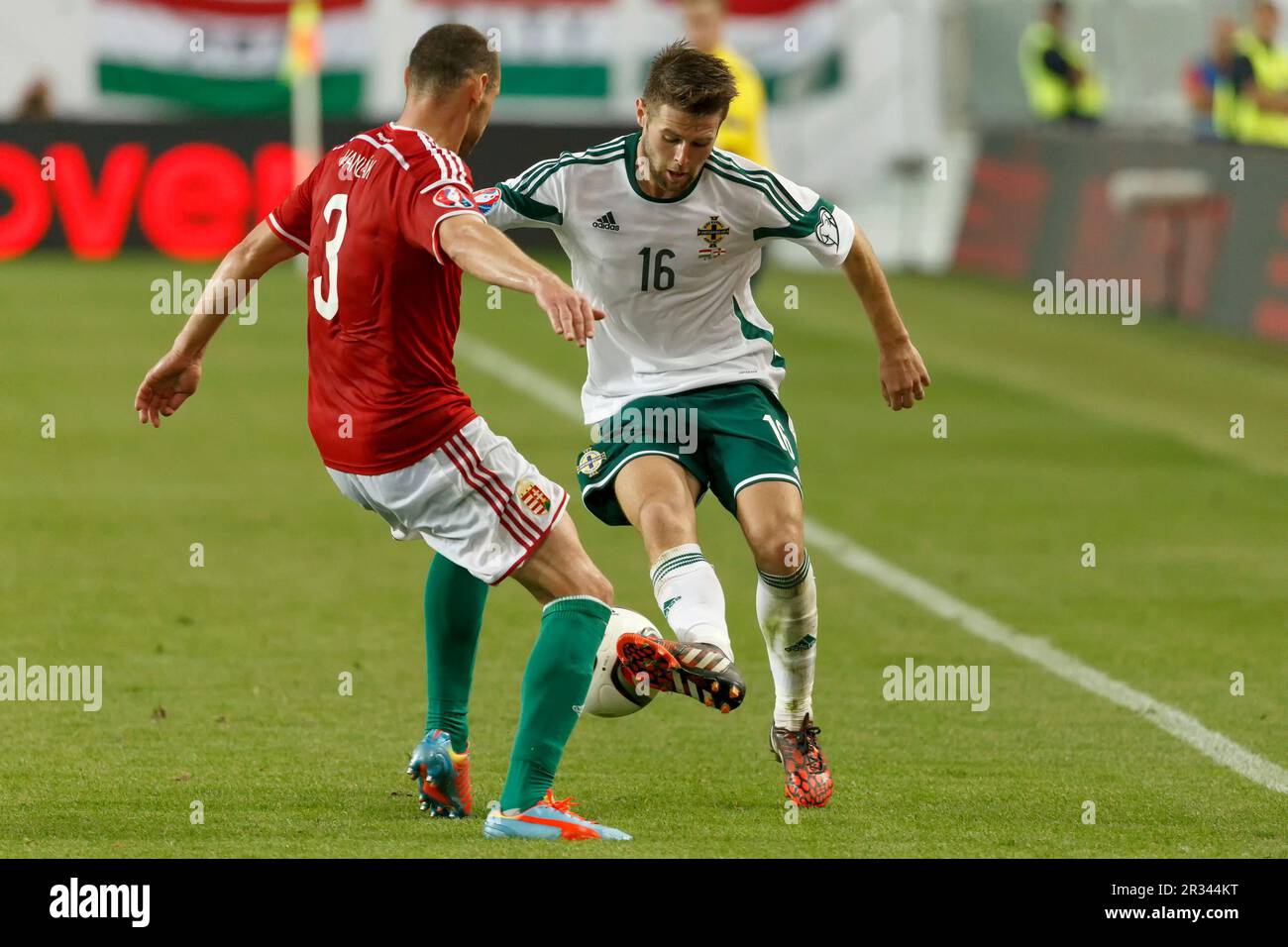 Hungary vs. Northern Ireland UEFA Euro 2016 qualifier football m Stock Photo