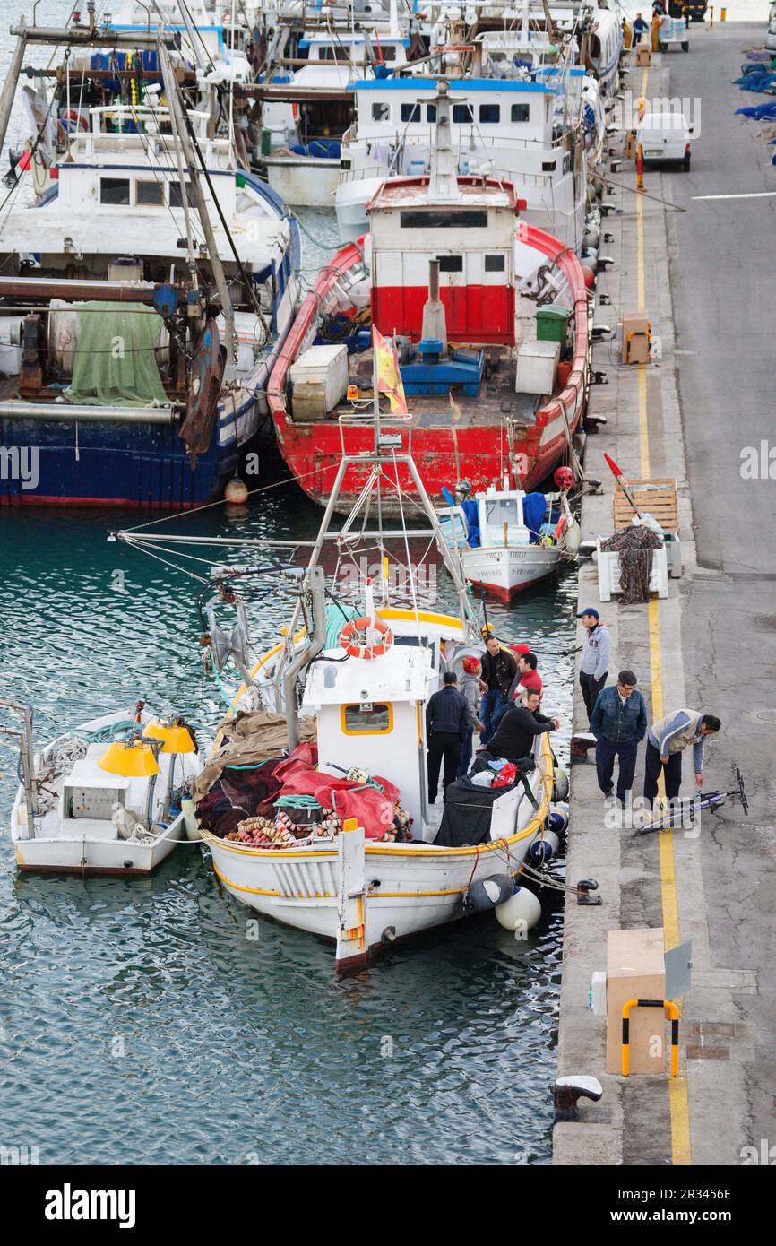 fishing boat in Moll de la Riba, Palma, mallorca, balearic islands, spain, europe. Stock Photo
