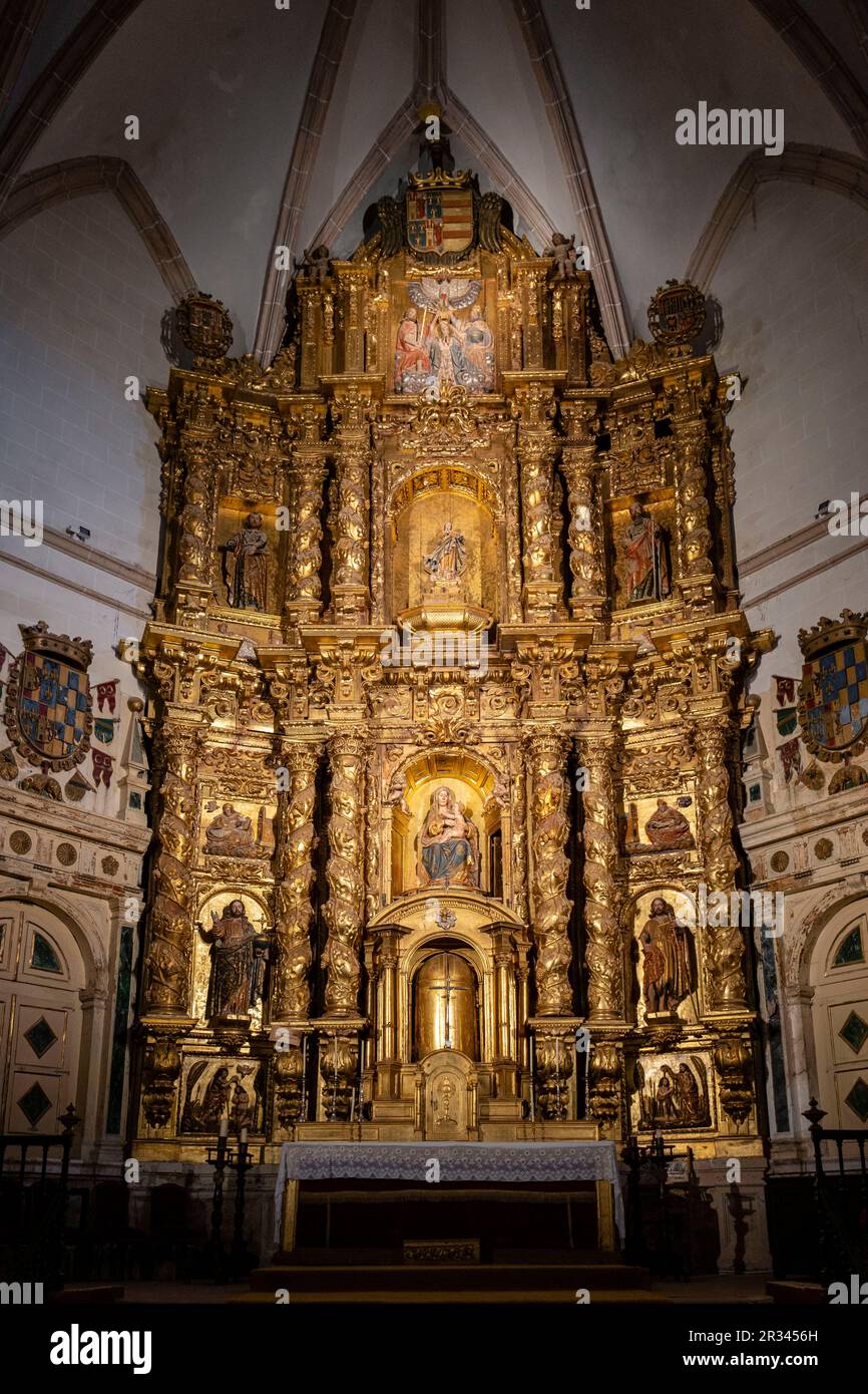 Colegiata de Nuestra Señora de la Asunción, gótico tardío, Medinaceli, Soria, comunidad autónoma de Castilla y León, Spain, Europe. Stock Photo