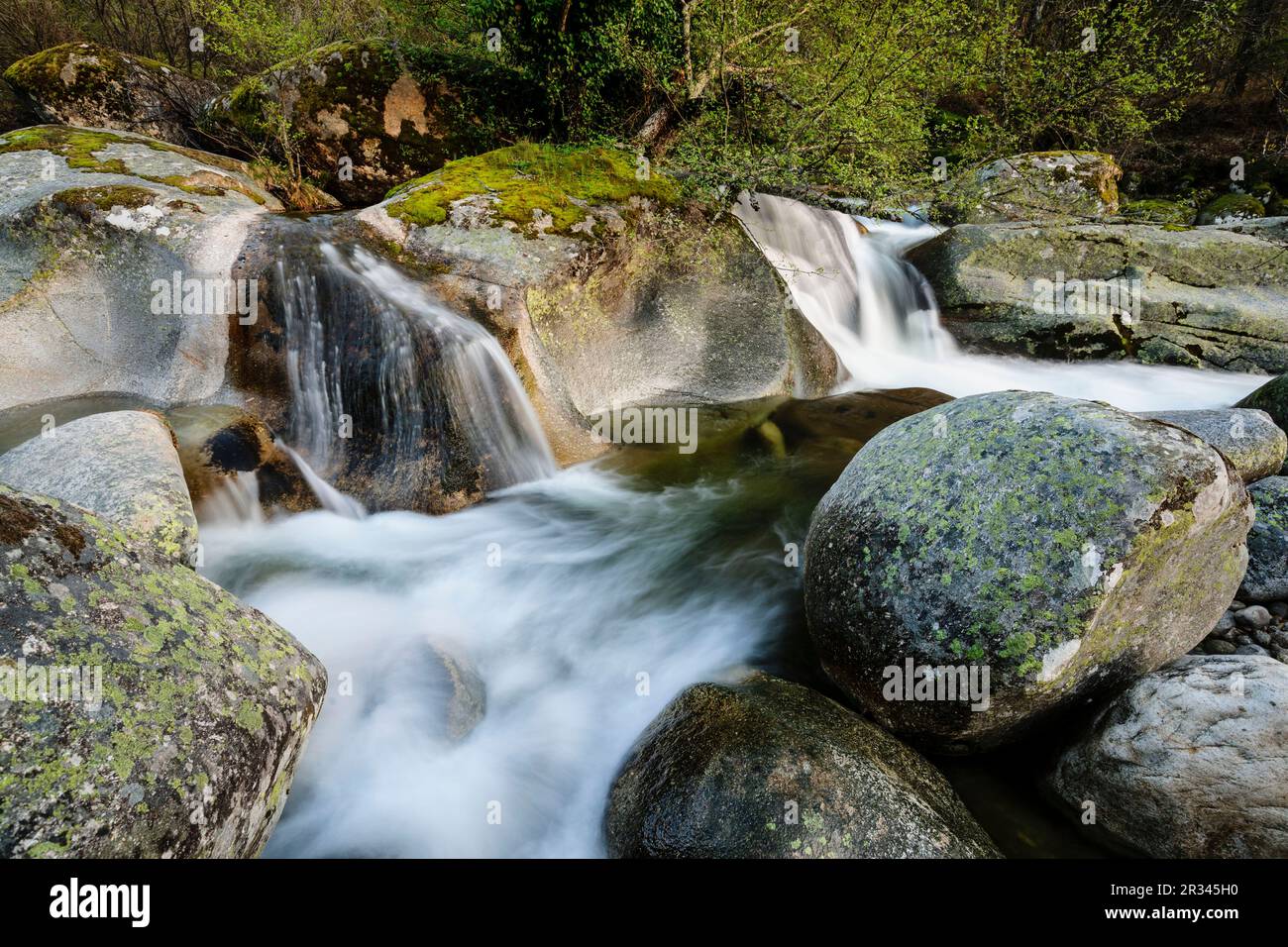 saltos de agua, reserva natural Garganta de los Infiernos, sierra de Tormantos, valle del Jerte, Cáceres, Extremadura, Spain, europa. Stock Photo