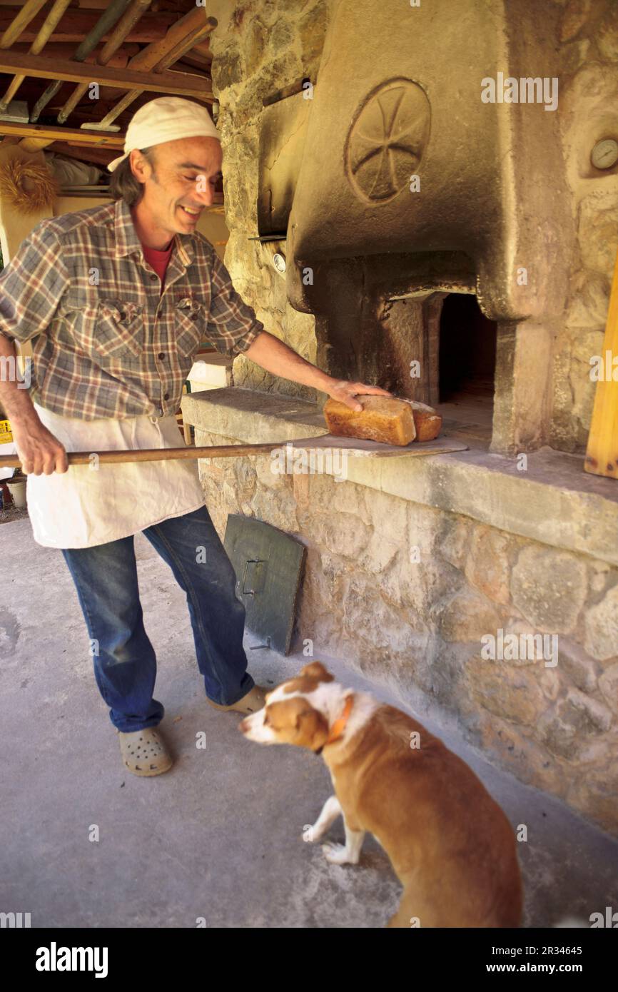 xeixa-flour-hi-res-stock-photography-and-images-alamy