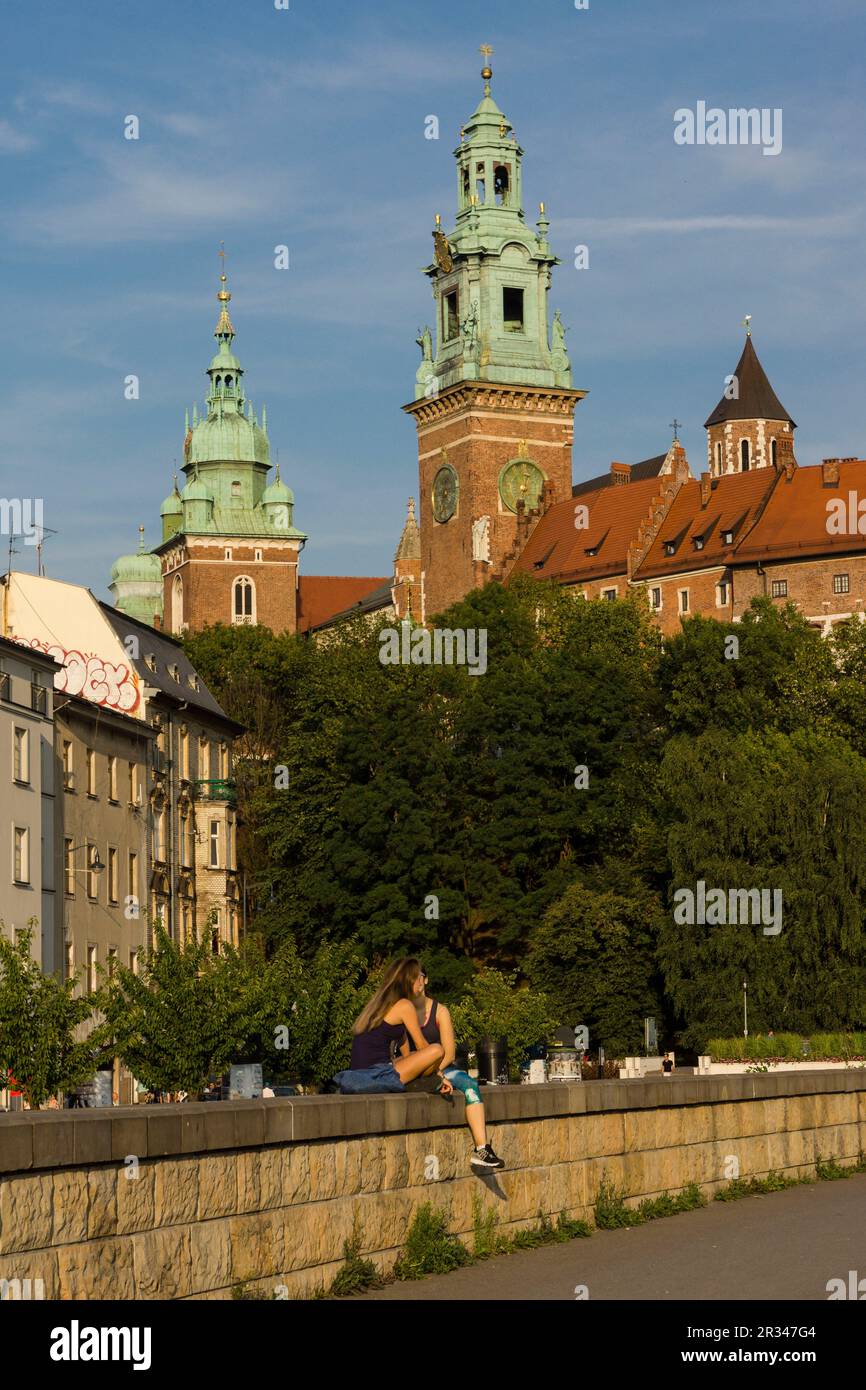castillo y colina de Wawel, Cracovia , voivodato de Pequeña Polonia,Polonia, eastern europe. Stock Photo