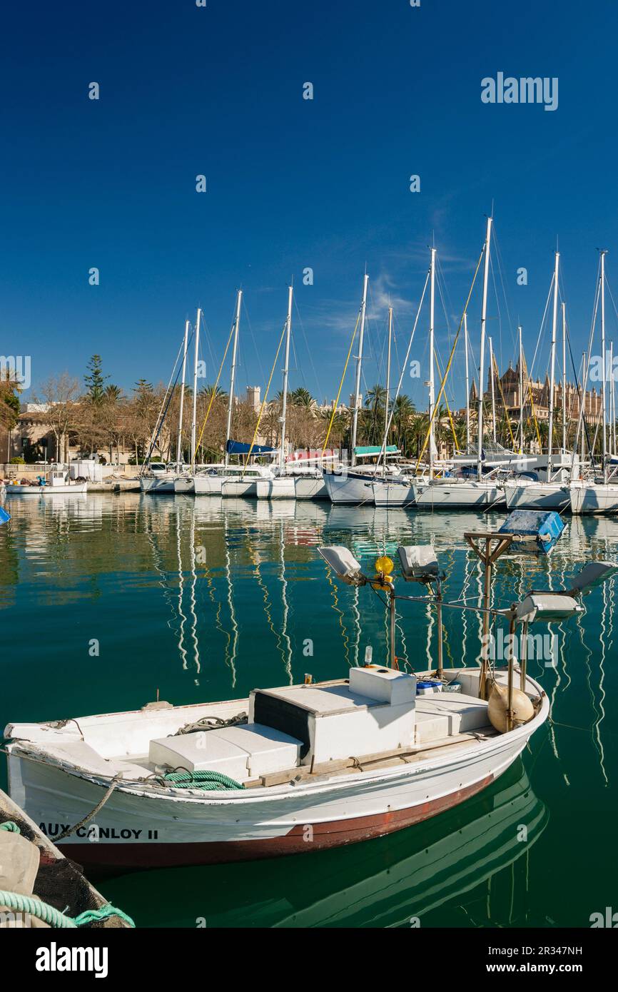 lonja de pescadores, Moll de la Riba, Palma, mallorca, islas baleares, españa, europa. Stock Photo