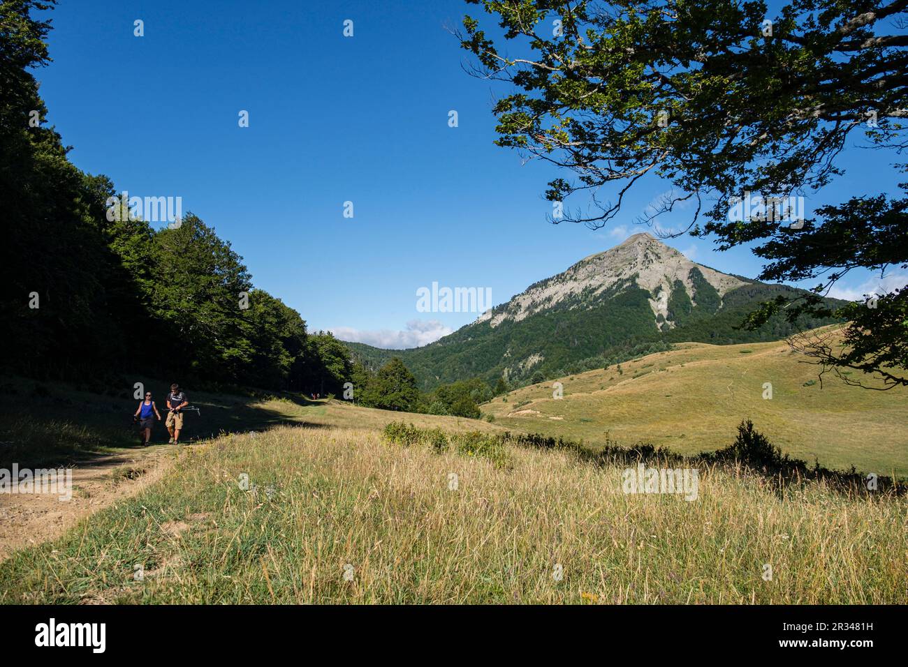 ruta de las Golondrinas, barranco de Petrechema, pirineos occidentales, , Huesca, Aragón, Spain, Europe. Stock Photo