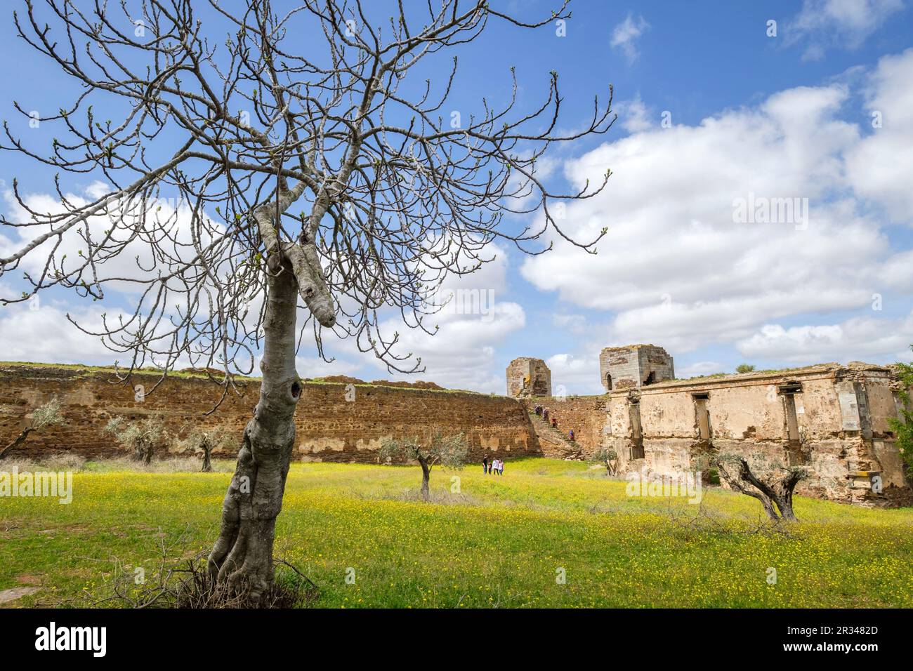 Fortaleza de ciudadela hi-res stock photography and images - Alamy