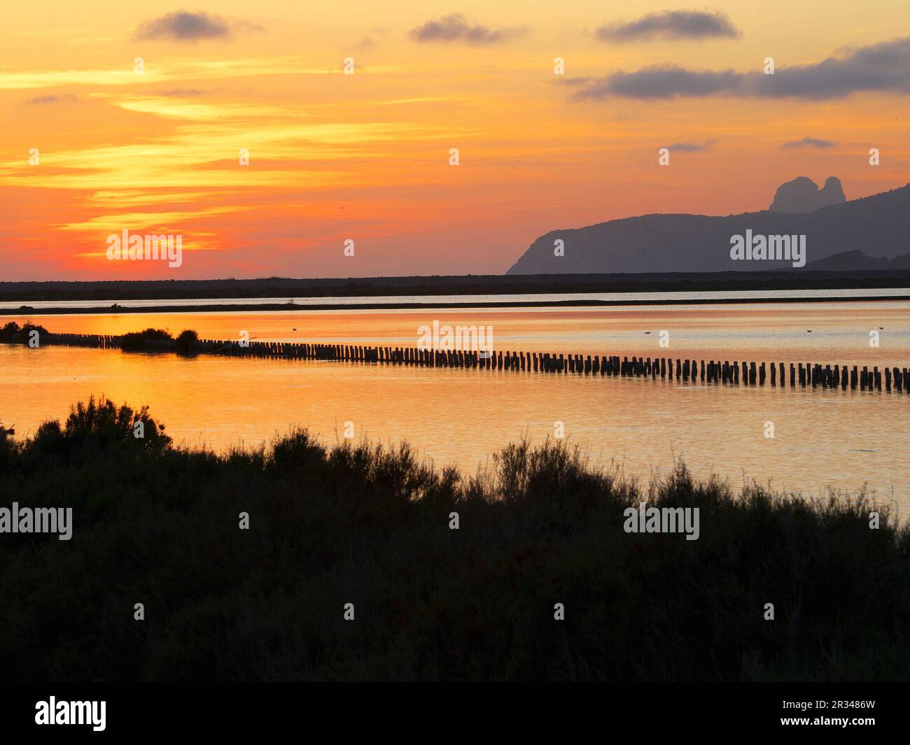 Ses Salines.Eivissa.Ibiza.Islas Pitiusas.Baleares.España Stock Photo ...