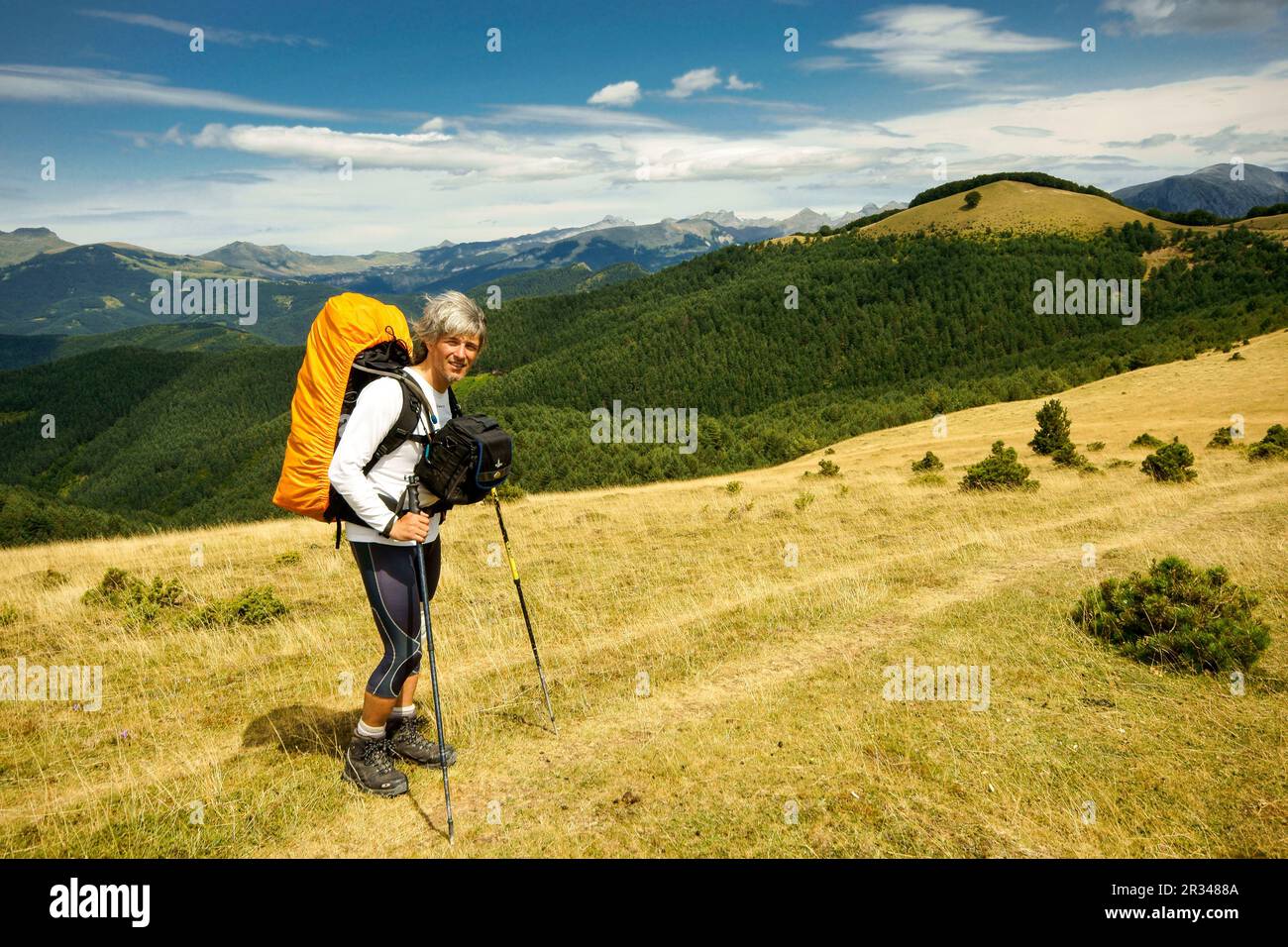 Sendero de bosques hi-res stock photography and images - Alamy