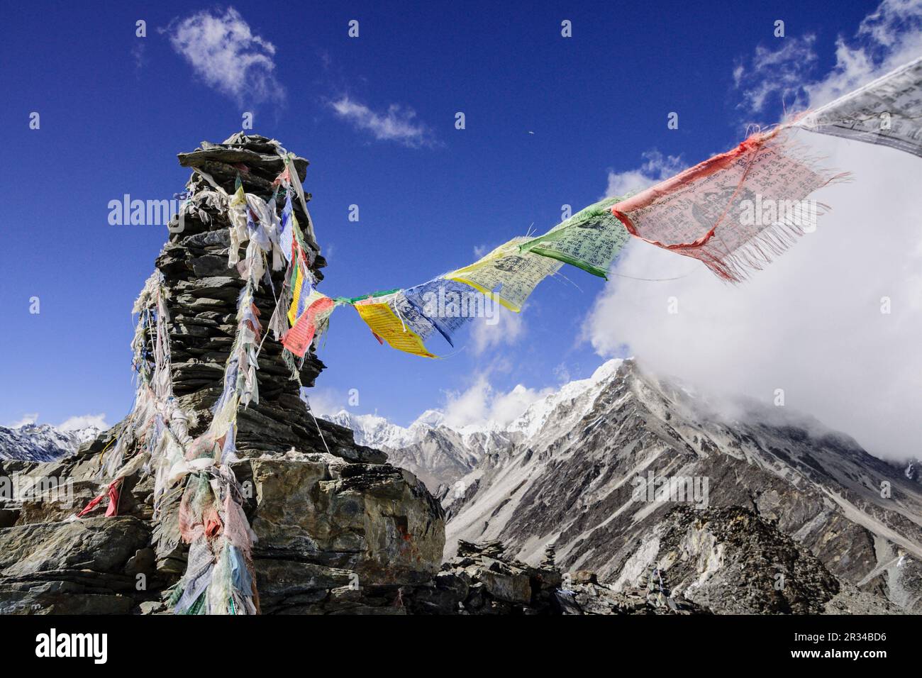 Cresta del sur hi-res stock photography and images - Alamy