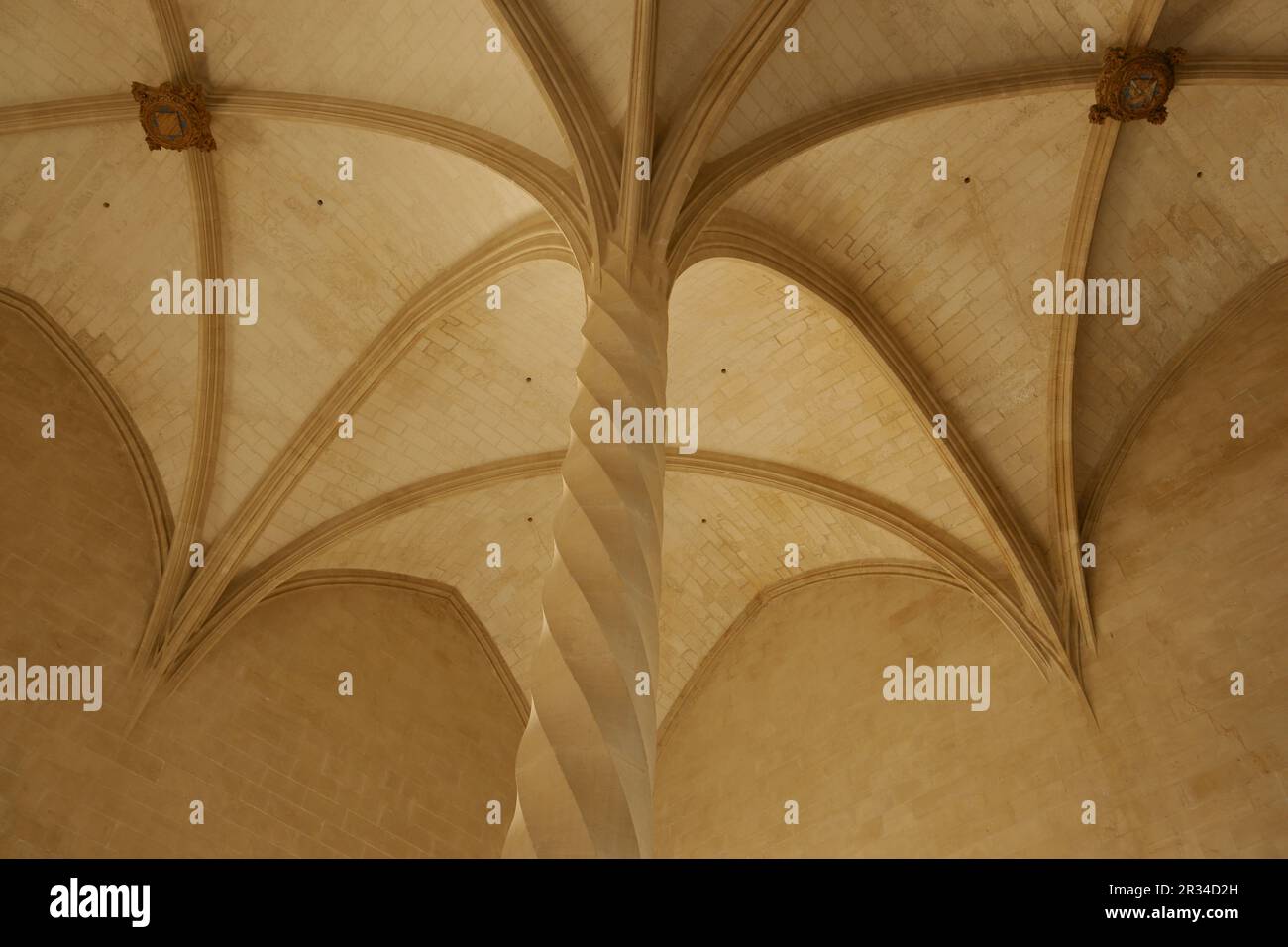 Columnas estriadas en espiral.La Llotja , siglo XV.Palma.Mallorca.Islas Baleares. España. Stock Photo