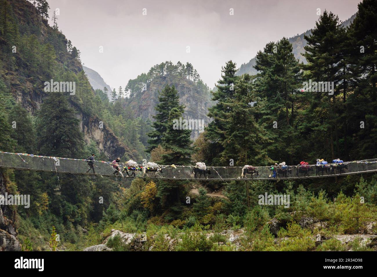 puente colgante, Larja, sobre el rio Dudh Koshi.Sagarmatha National Park, Khumbu Himal, Nepal, Asia. Stock Photo