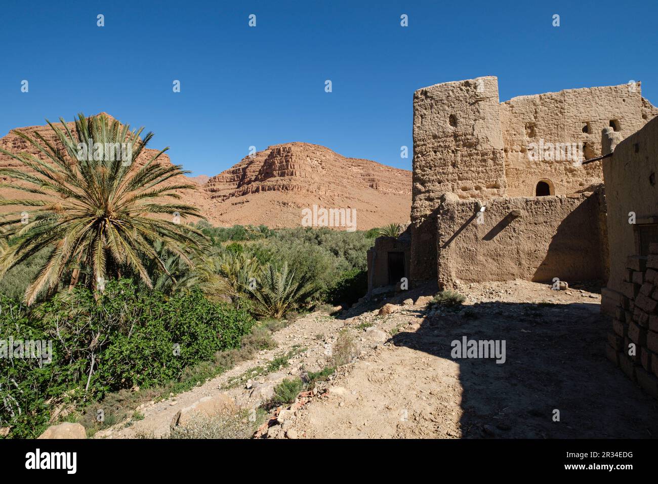 mud and adobe architecture, Ifri kasbah, Ziz river valley, Atlas mountains, Morocco, Africa. Stock Photo